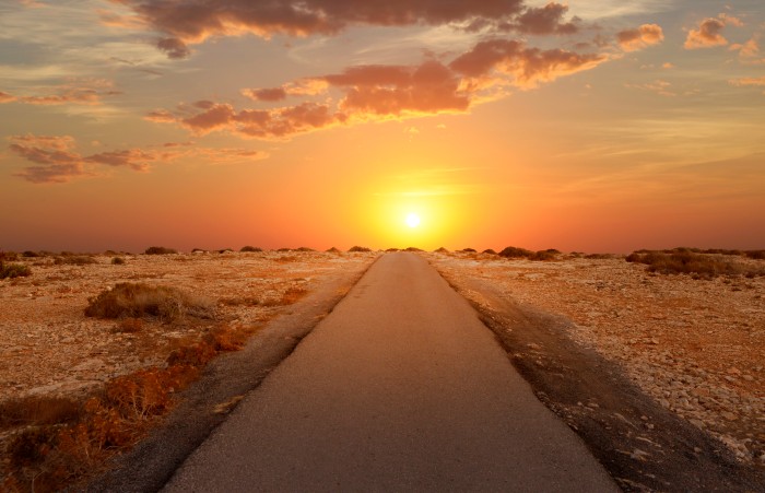 renovar flota implantar tecnología